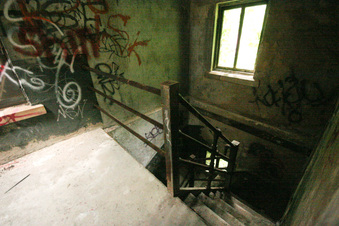 Enlarge photo 85