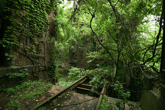 Enlarge photo 95