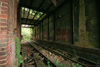 Enlarge photo 96