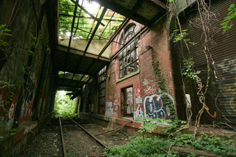 Enlarge photo 97