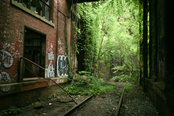 Enlarge photo 98