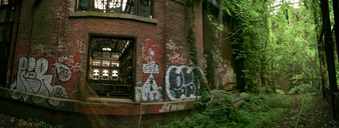Enlarge photo 99