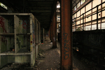 Enlarge photo 120