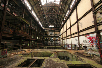 Enlarge photo 127