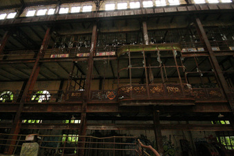 Enlarge photo 137