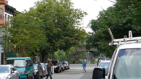 Enlarge photo 23