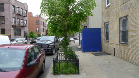 Enlarge photo 6