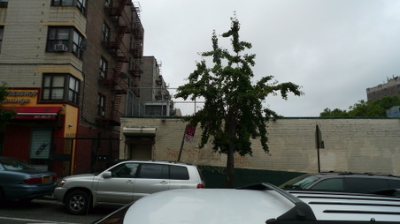 Enlarge photo 6