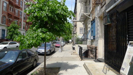 Enlarge photo 22