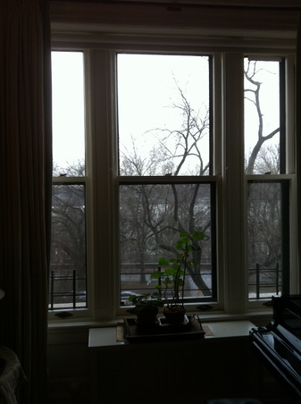 Enlarge photo 8