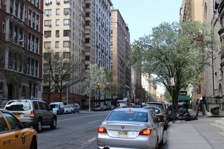 Enlarge photo 39