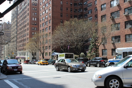 Enlarge photo 15
