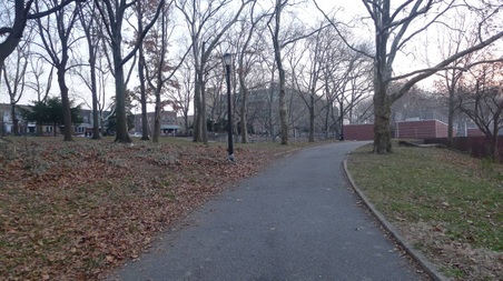 Enlarge photo 11