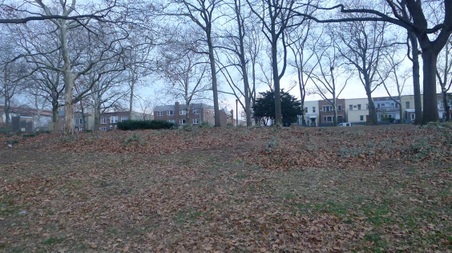 Enlarge photo 12