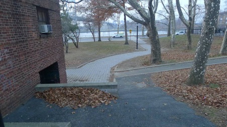 Enlarge photo 18