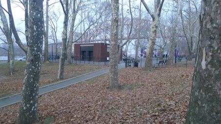 Enlarge photo 24