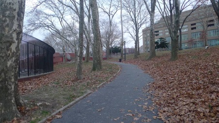 Enlarge photo 35