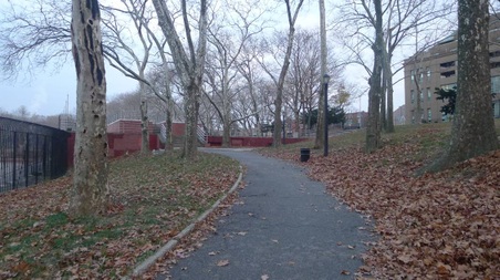 Enlarge photo 36
