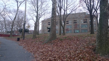 Enlarge photo 37