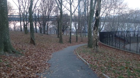Enlarge photo 39