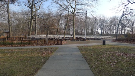 Enlarge photo 84