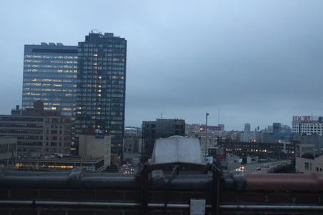 Silvercup Roof