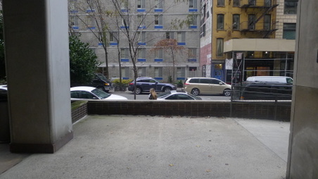 Enlarge photo 9