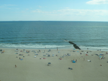 Enlarge photo 51