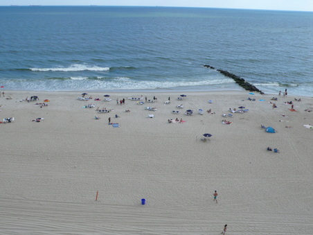 Enlarge photo 66