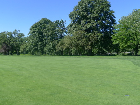 Enlarge photo 48