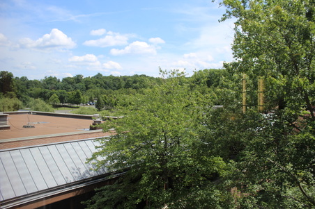 Enlarge photo 48