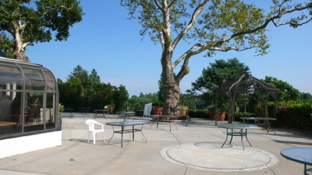 Enlarge photo 39
