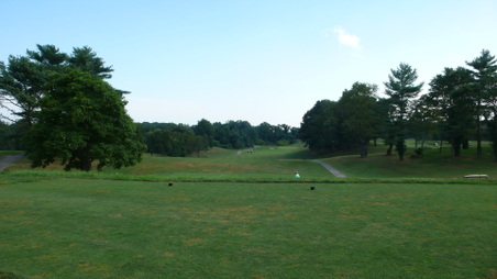 Enlarge photo 74