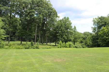 Enlarge photo 46