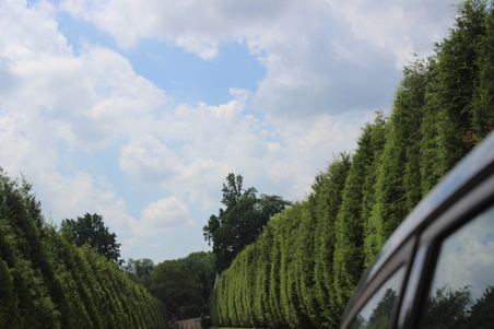 Enlarge photo 4