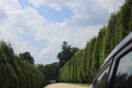 Enlarge photo 5