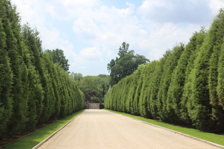 Enlarge photo 6