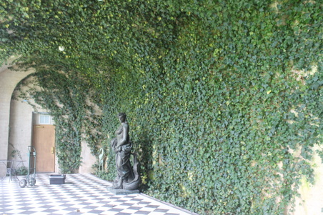 Enlarge photo 181
