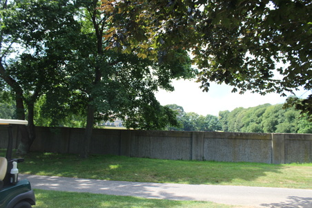 Enlarge photo 217