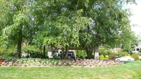 Enlarge photo 3