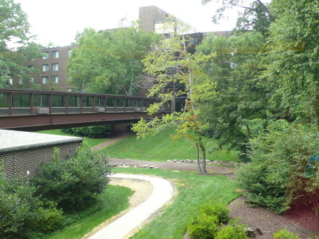 Enlarge photo 51
