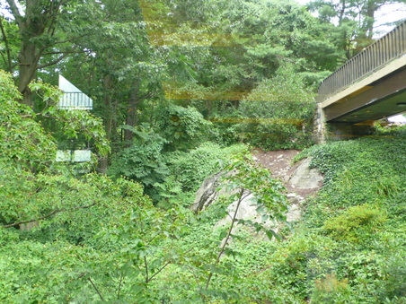 Enlarge photo 52