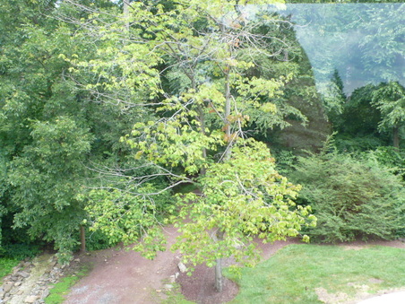 Enlarge photo 57