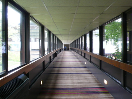 Enlarge photo 58