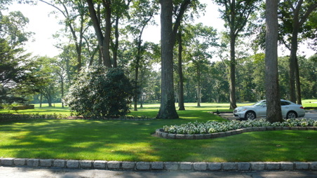 Enlarge photo 12