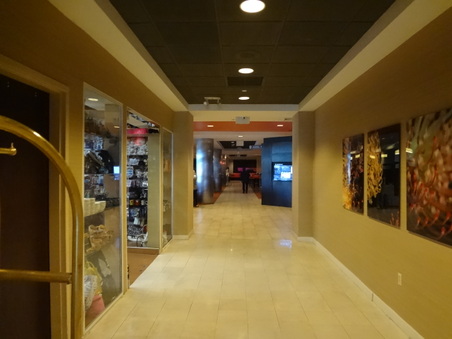 Enlarge photo 7