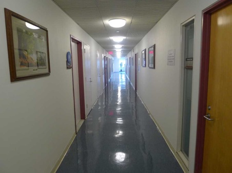 Lighthouse International