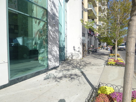Enlarge photo 40