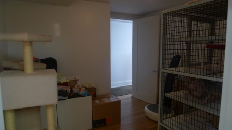 Enlarge photo 4