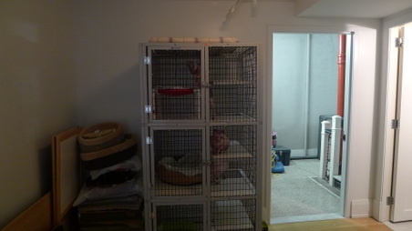 Enlarge photo 6